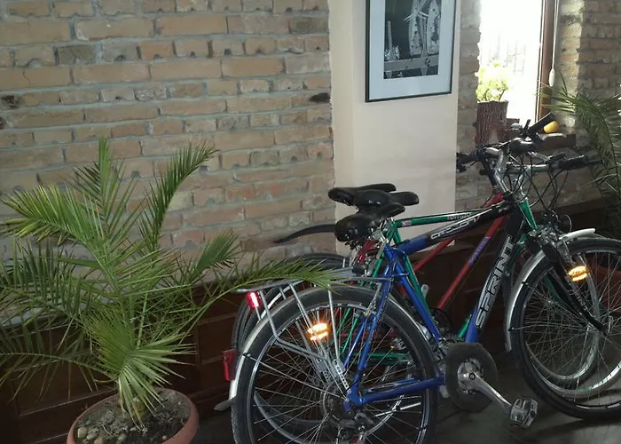 Selena 3* Балчик